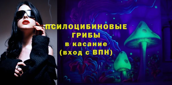 молекула духа Гусев