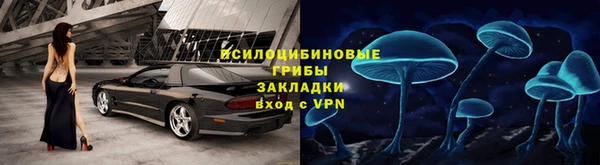 молекула духа Гусев