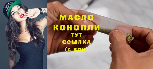гидра Гусиноозёрск