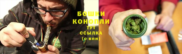 гидра Гусиноозёрск